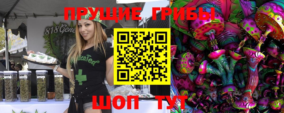 Галлюциногенные грибы Psilocybine cubensis Грязи